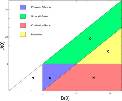 Evolutionary Constraints on Connectivity Patterns in the Mammalian Suprachiasmatic Nucleus